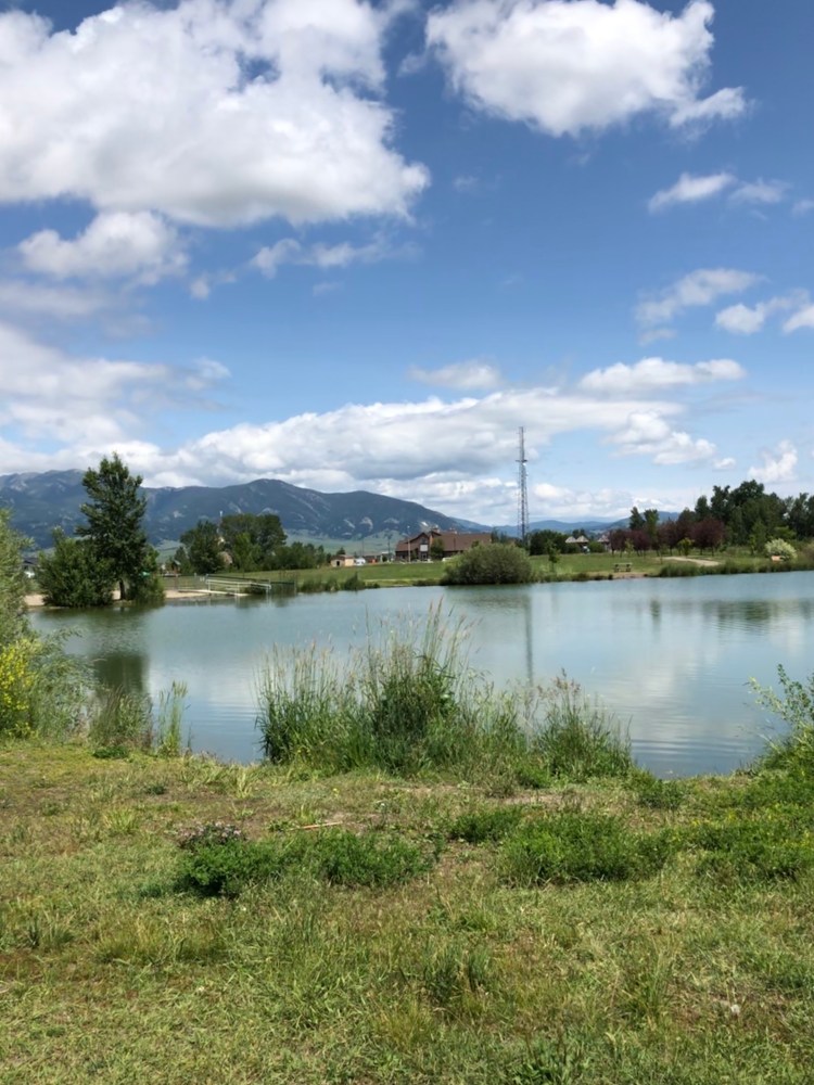 A walk in the park to fuel my creativity